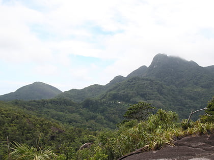 Monte Seychellois