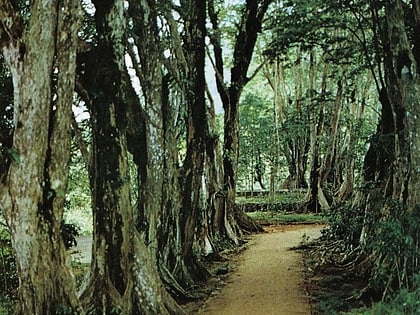 parc national du morne seychellois mahe