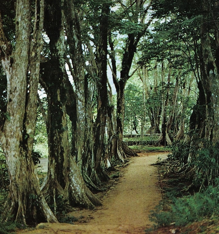 parc national du morne seychellois mahe