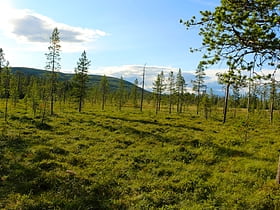 Parque nacional de Fulufjället