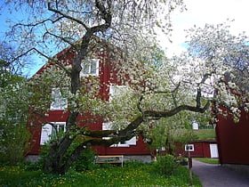 Linnaeus' Hammarby