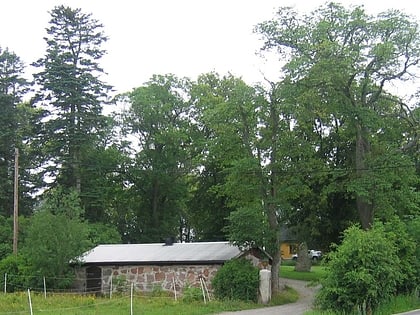 Piedras rúnicas de Hagby