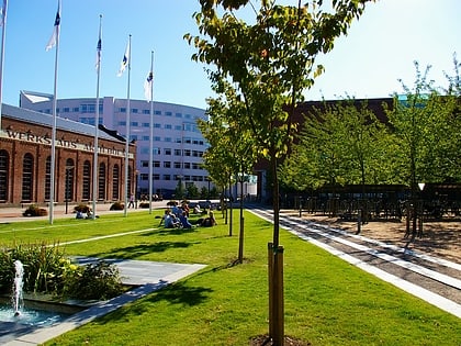 Université de Jönköping