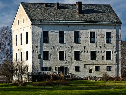 chateau de goksholm