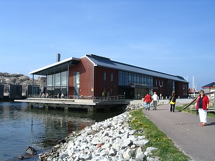 musee nordique de laquarelle skarhamn
