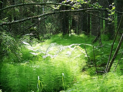 Parc national de Skuleskogen