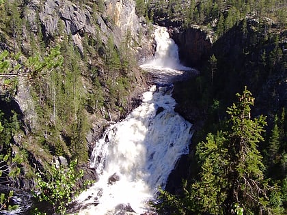 parc national de muddus region de laponie