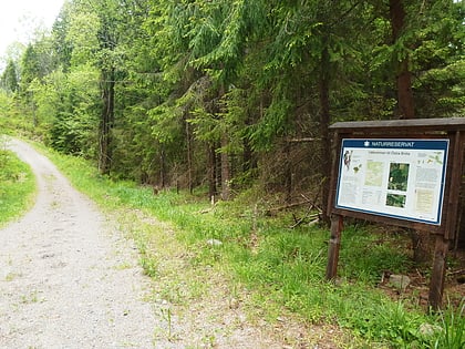 Östra Bröta Nature Reserve