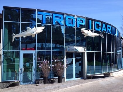 tropicarium kolmarden