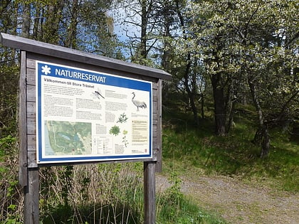 rezerwat przyrody stora trasket sodertorn