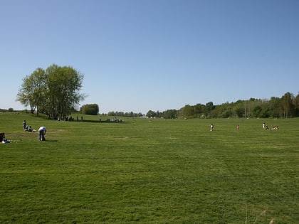 felsritzungen von himmelstalund norrkoping