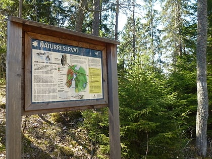 rezerwat przyrody staketskogen