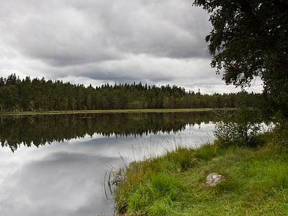 Rezerwat Przyrody Våraskruv