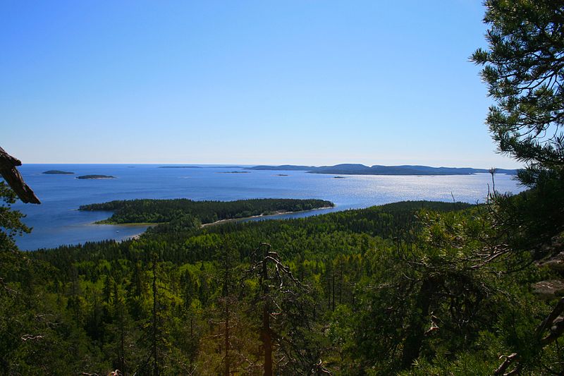 Park Narodowy Skuleskogen