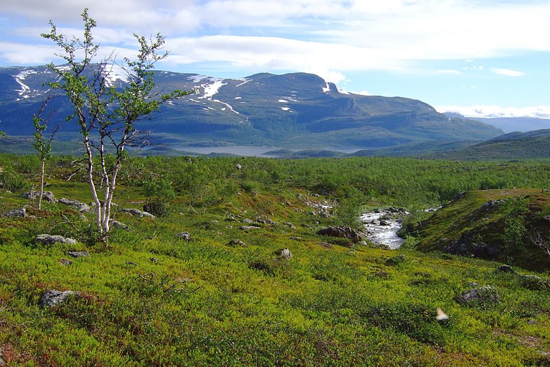 Parc national de Stora Sjöfallet