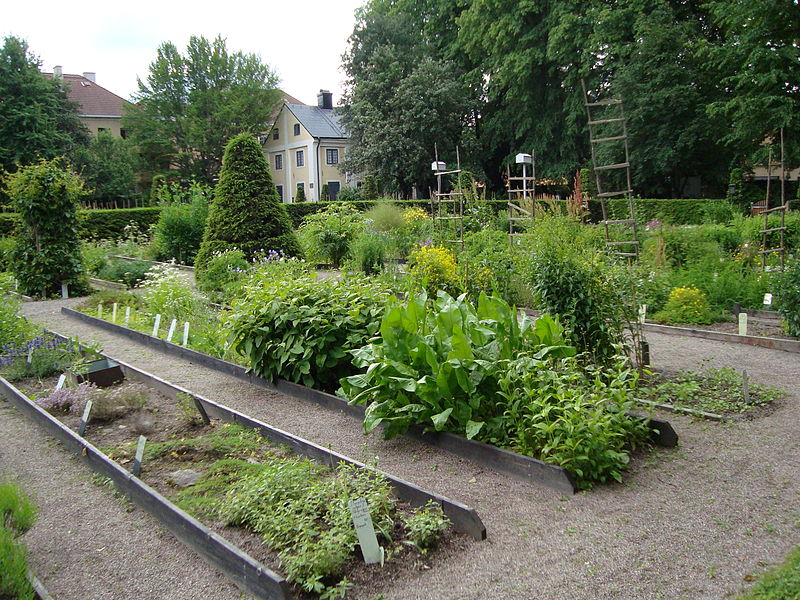 Linnéträdgården