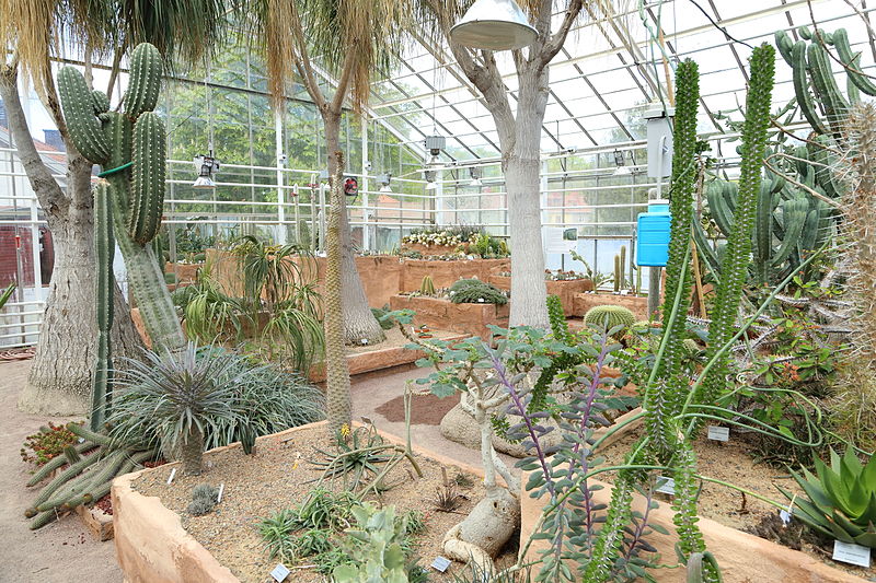 Ogród Botaniczny