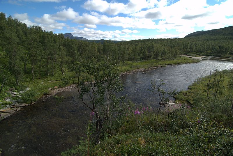 Reserva natural de Vindelfjällen