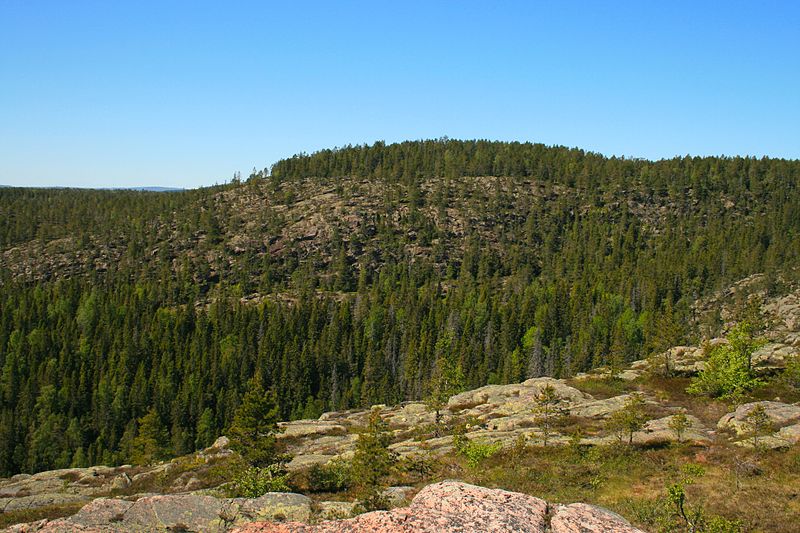 Nationalpark Skuleskogen