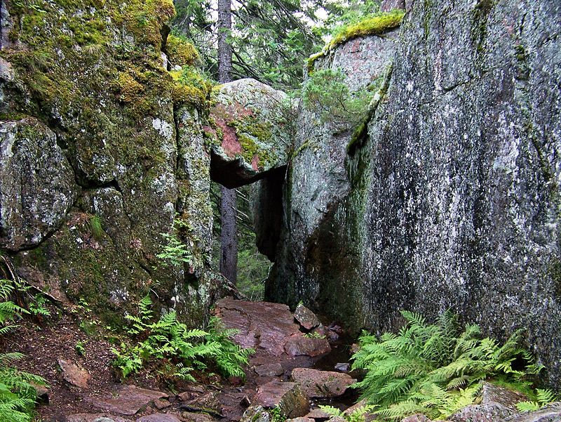 Parc national de Skuleskogen