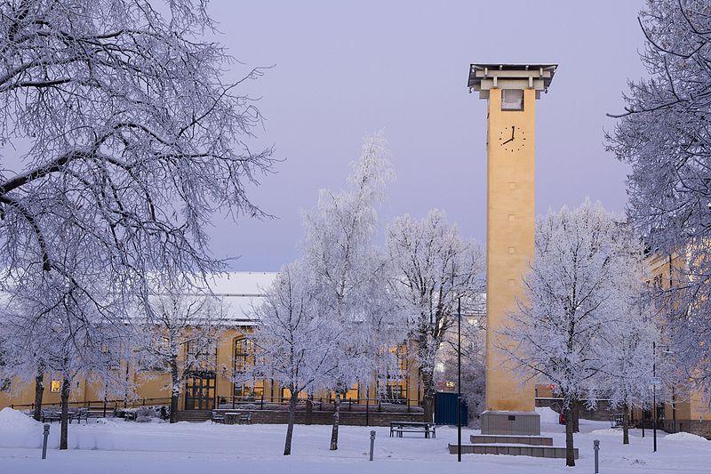 Hochschule Skövde