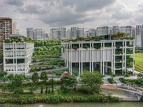 oasis terraces singapore east coast