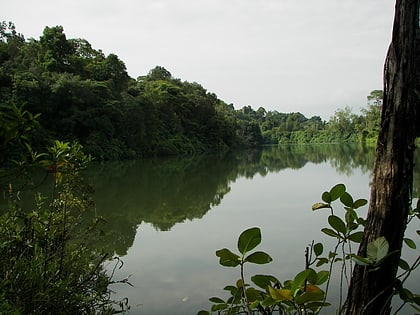 upper peirce reservoir