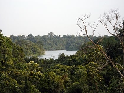 rezerwat przyrody central catchment