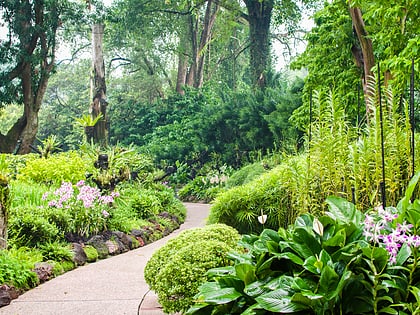 ogrody botaniczne w singapurze