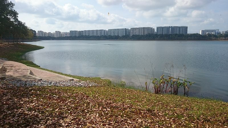 Bedok Reservoir