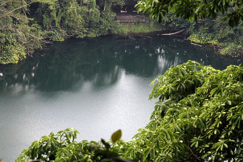 Rezerwat Przyrody Bukit Timah