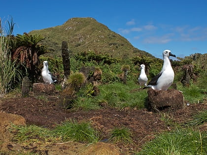 Tristan da Cunha–Gough Islands shrub and grasslands