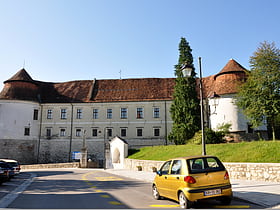 Brežice Castle