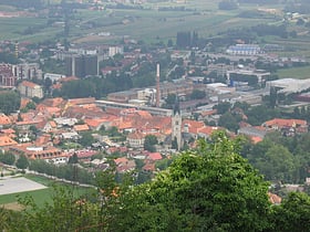 slovenske konjice