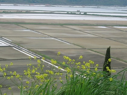 secovlje saltworks