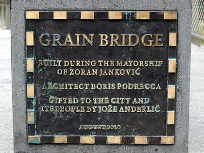 grain bridge ljubljana