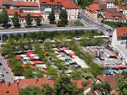 ljubljana central market