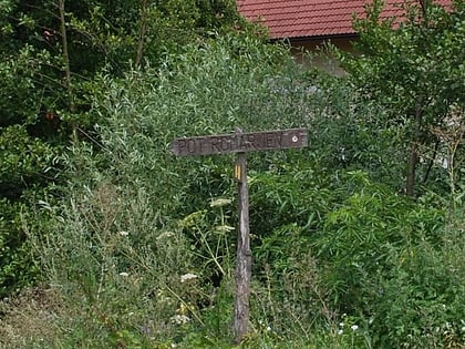 Pilgrims' Trail