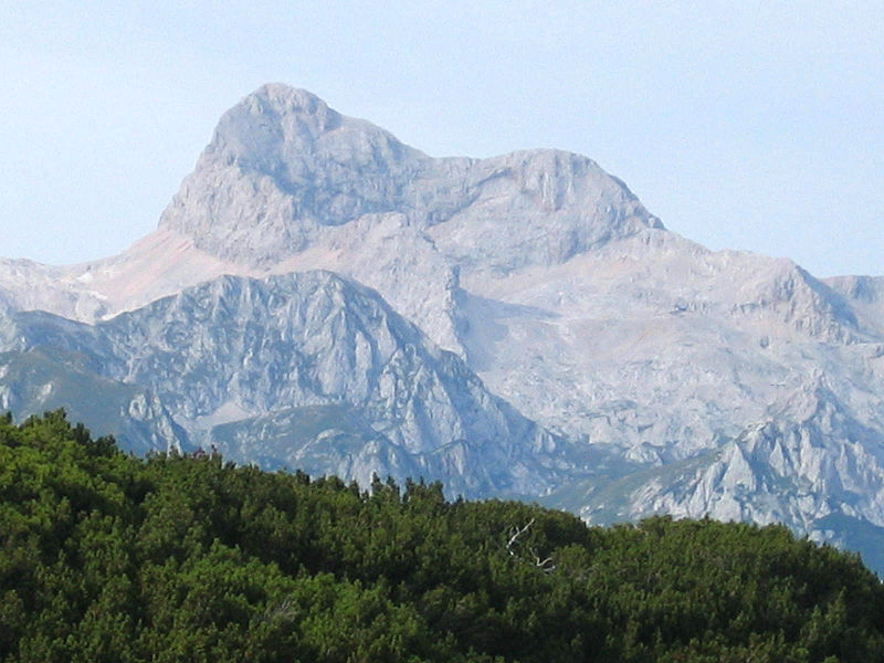 Vogel Mountain