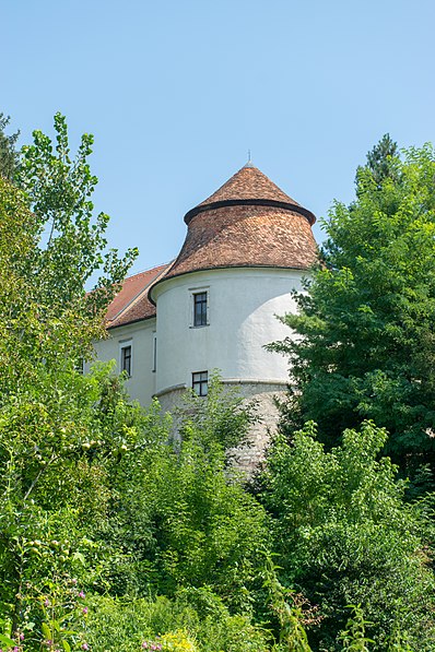 Brežice Castle