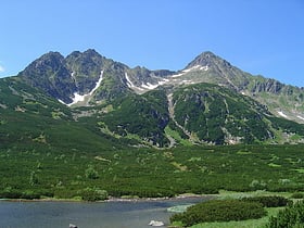 Fatra-Tatra Area