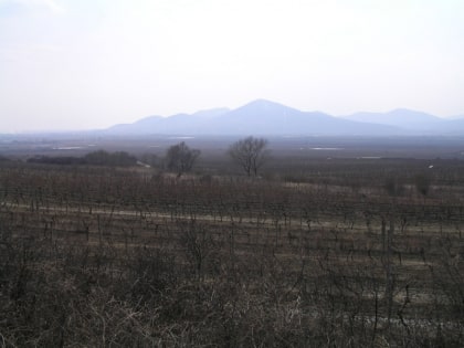 Zemplín Mountains