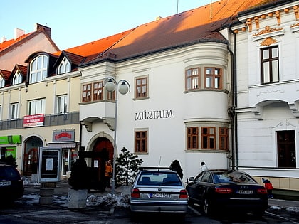 Small Carpathian Museum