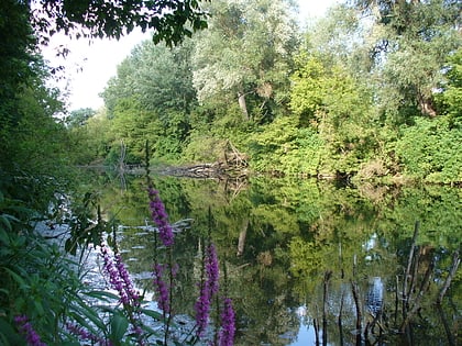 Landschaftsschutzgebiet Dunajské luhy