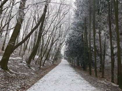 edukacny chodnik horsky park bratislava