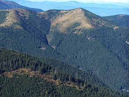 grzes tatra nationalpark