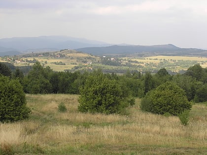 hronski inowiec