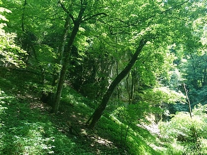strmina little carpathians protected landscape area