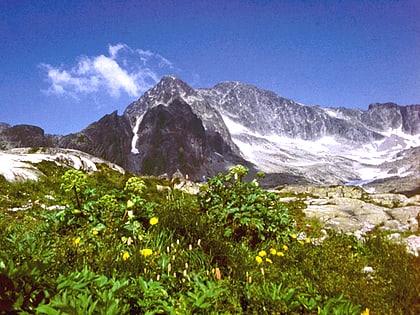 lodowy szczyt tatrzanski park narodowy
