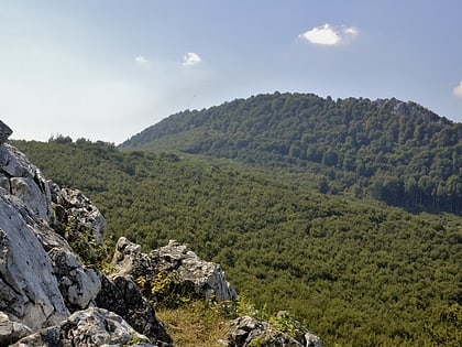 vysoka little carpathians protected landscape area